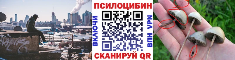 Псилоцибиновые грибы Psilocybine cubensis  Купить  Боготол 